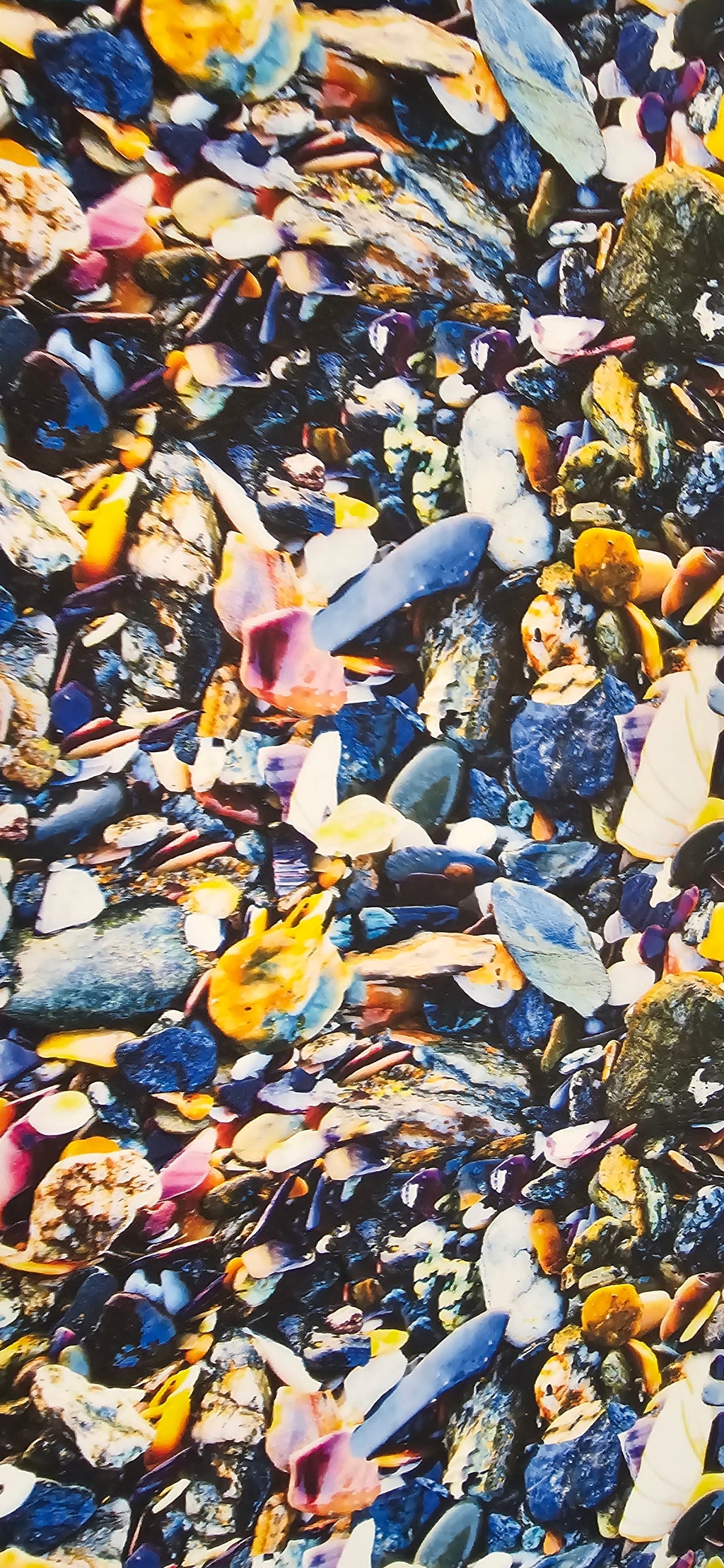 Holywell Tide Treasures