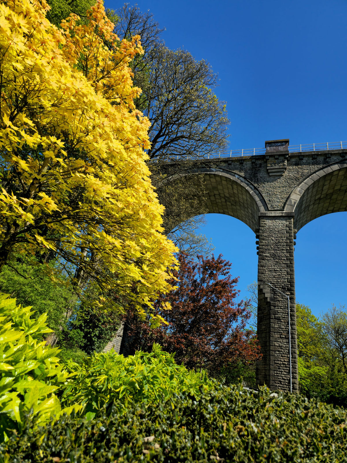 Viaduct in Bloom