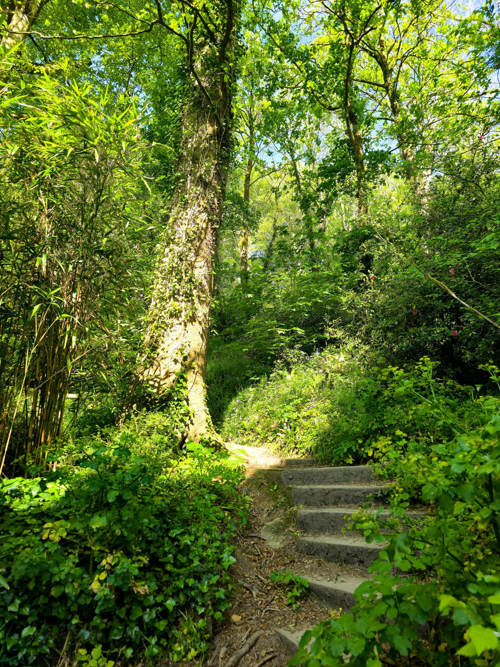 Emerald Steps, Trenance Gardens