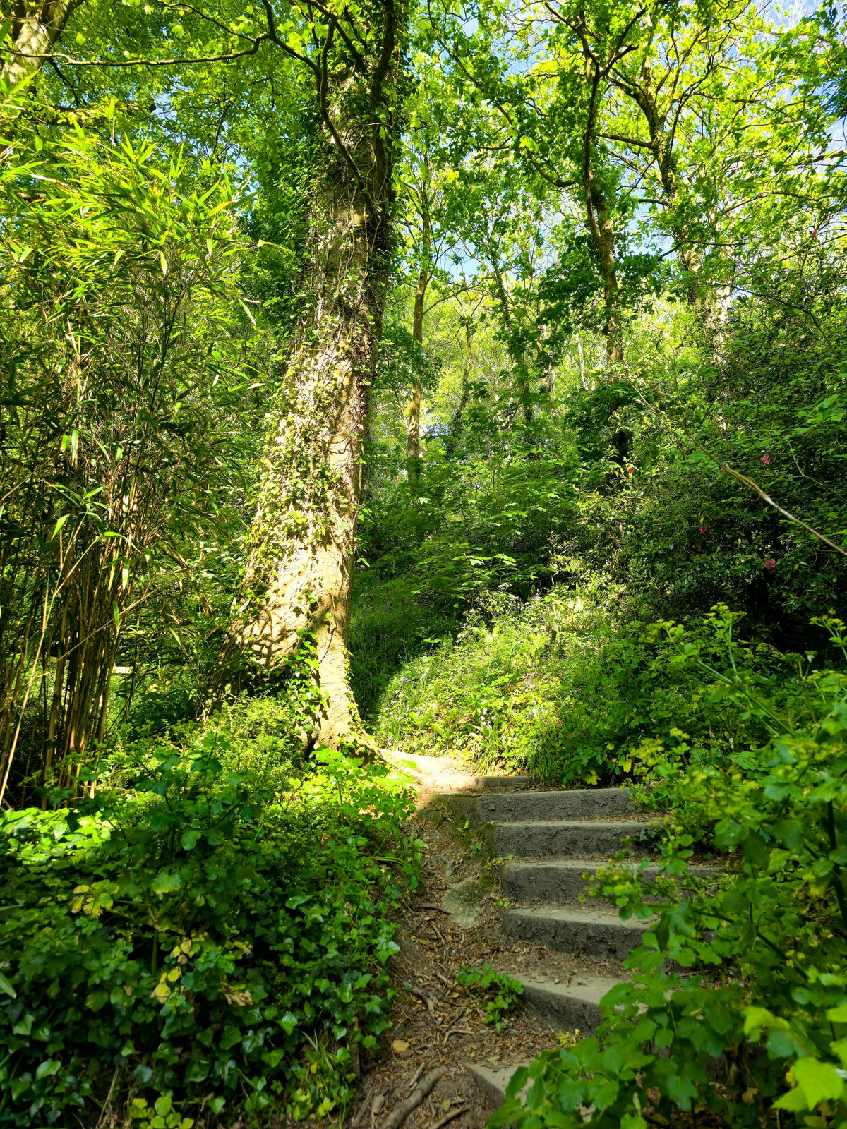 Emerald Steps, Trenance Gardens