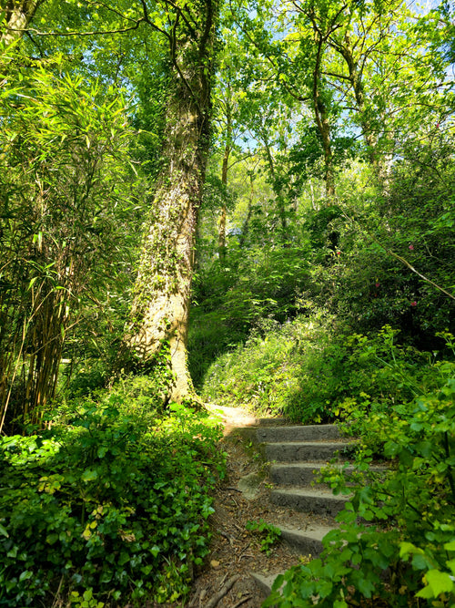 Emerald Steps, Trenance Gardens